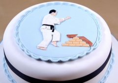 Karate / Judo Man